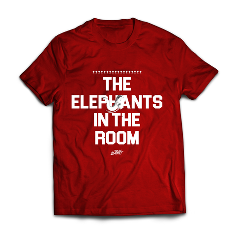 Elephants in the Room